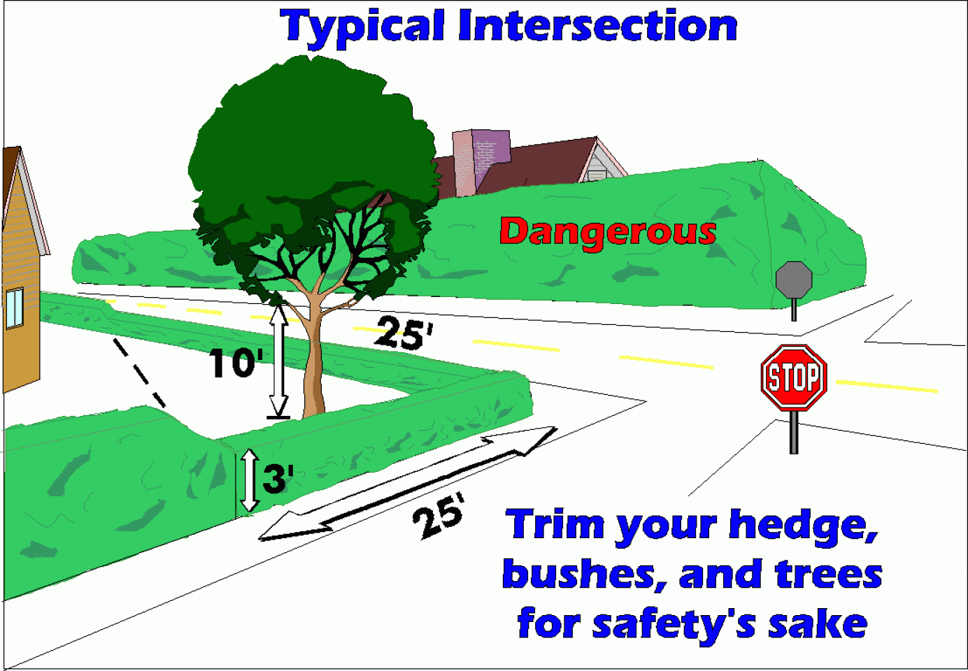 Diagrama de una intersección típica que muestra la importancia de recortar setos, arbustos y árboles para asegurar una línea de visión clara por seguridad. La vegetación crecida está etiquetada como peligrosa, con medidas específicas indicadas para distancias seguras de recorte.