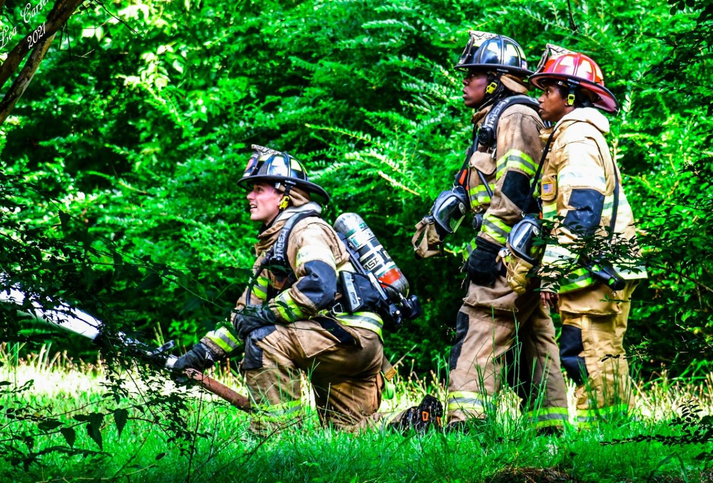 Three firefighters in tan gear and helmets, one with a red helmet, kneeling and standing in a lush green fores