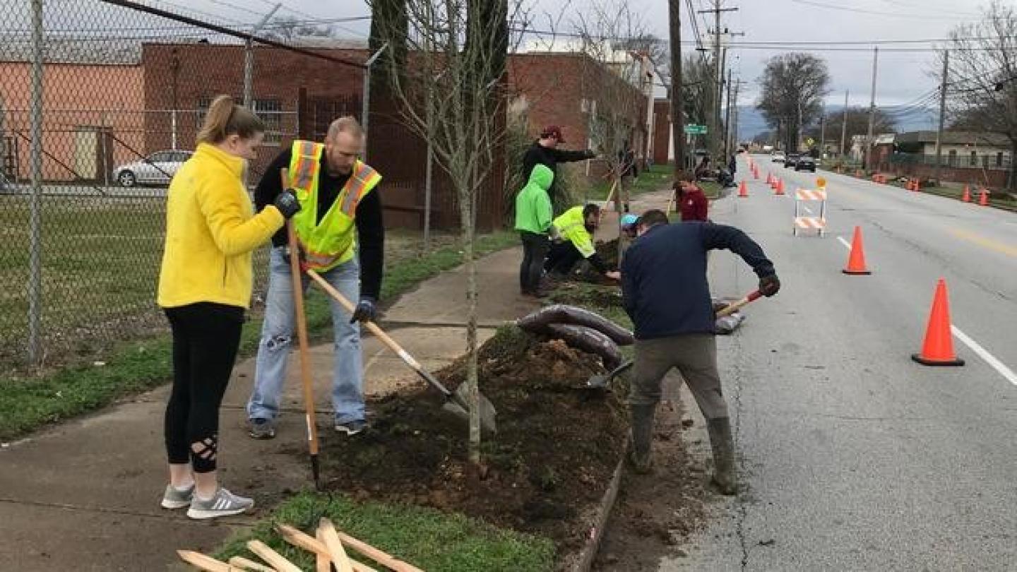 Personas plantando árboles en una acera.