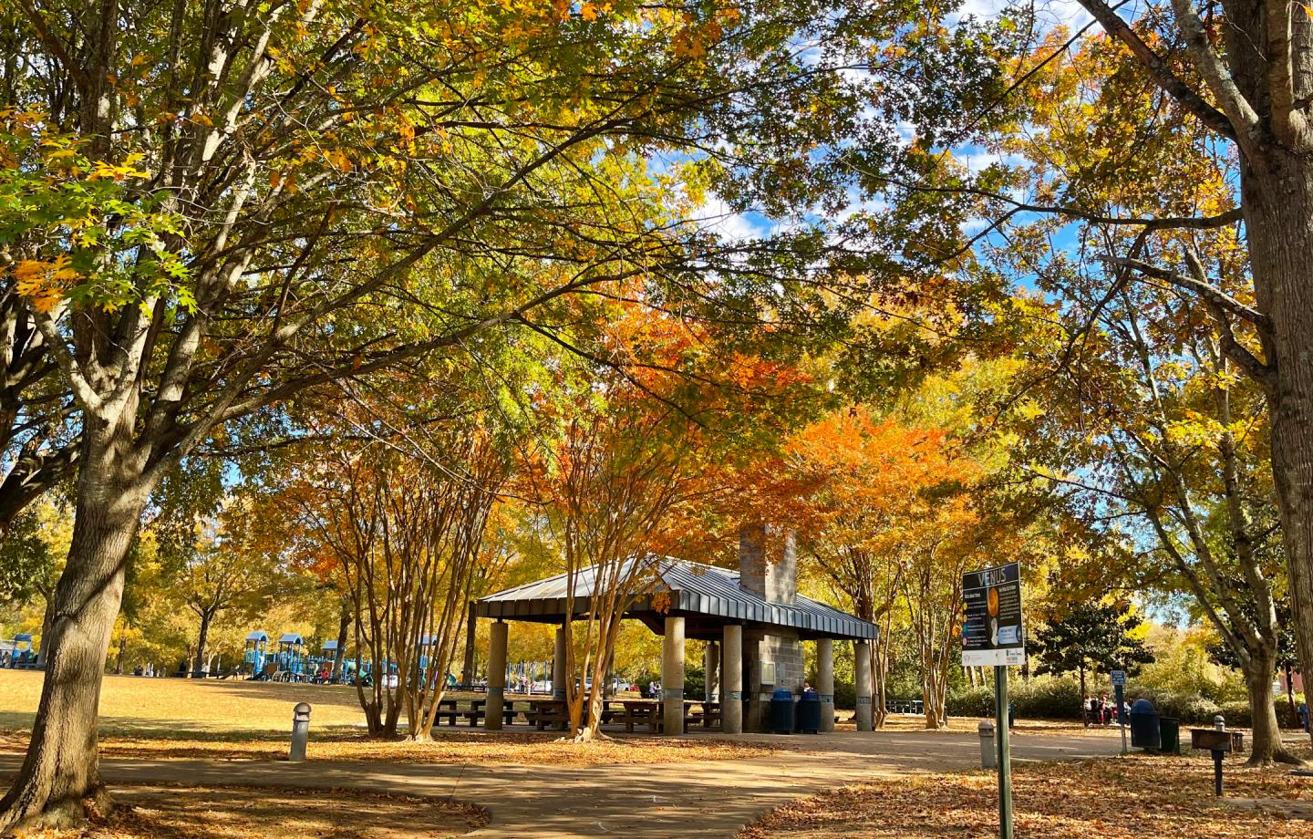 Scenic view of Tennessee Riverpark during autumn with colorful fall foliage and a picnic pavilion.