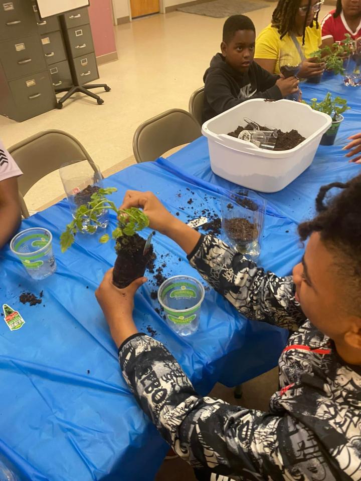 Niños trabajando con plantas