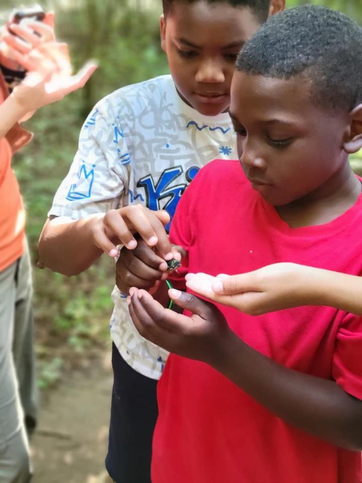 Niños observando insectos
