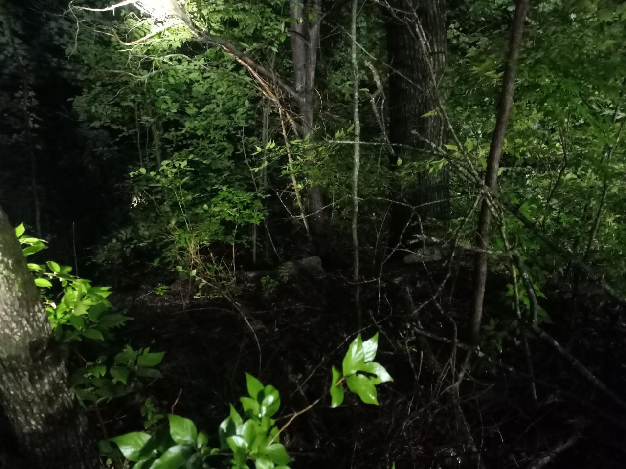 Area where the hiker was found