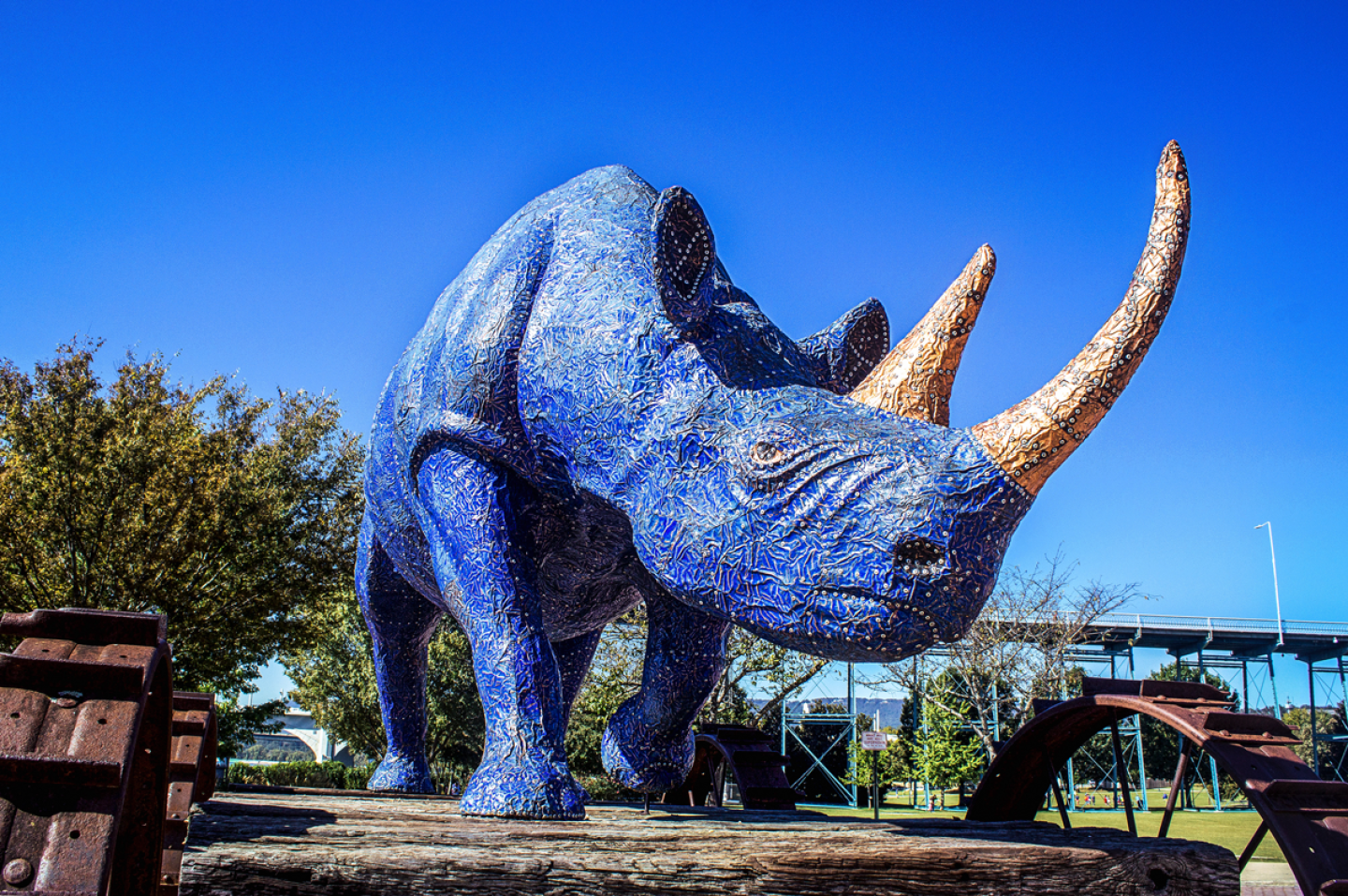 Blue Rhino