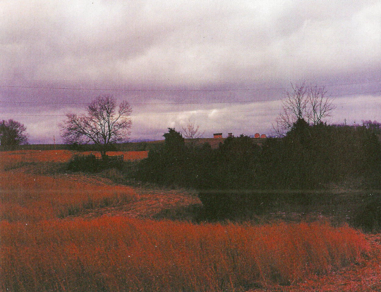 Greene County