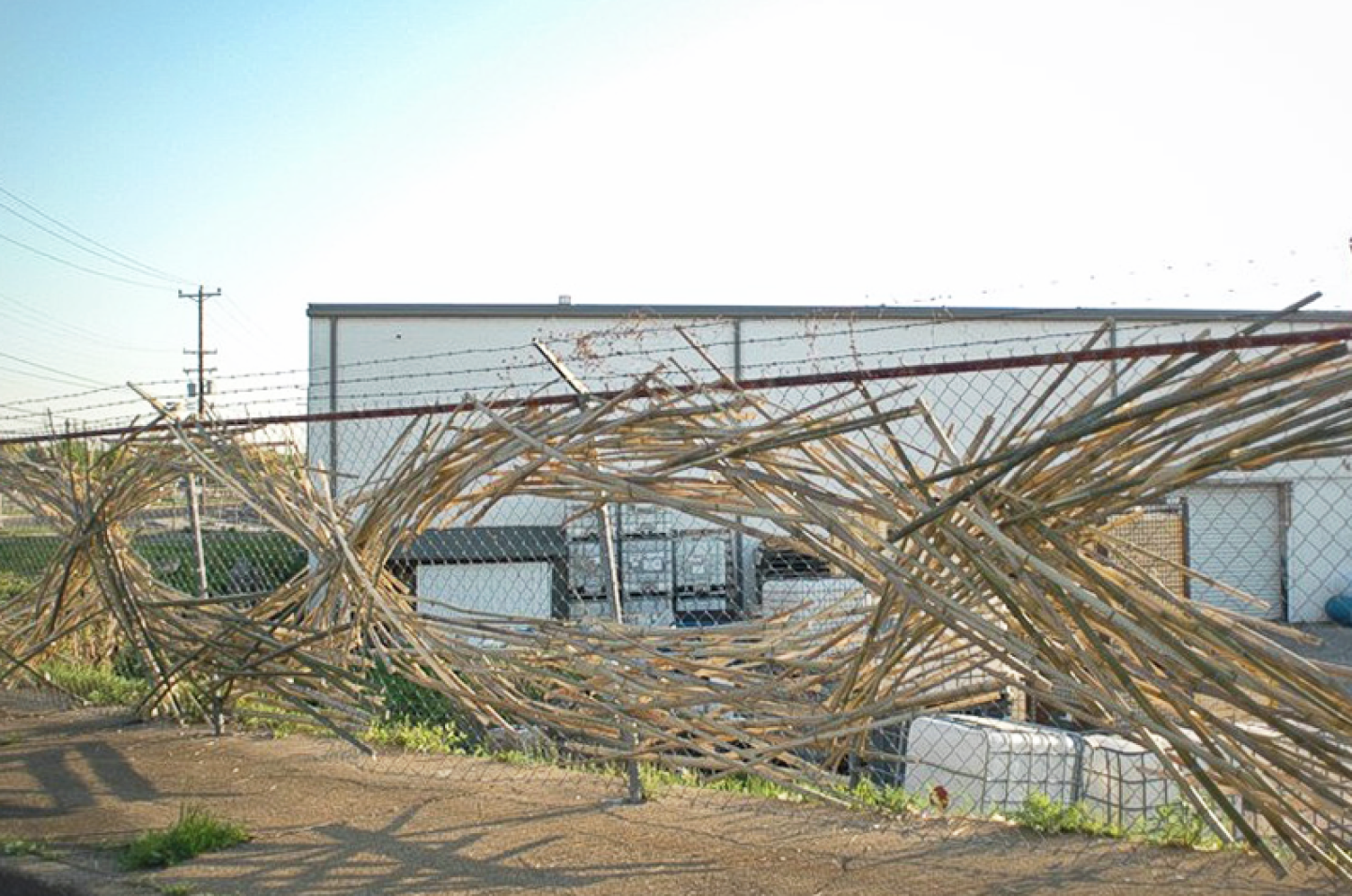Natura Tectum