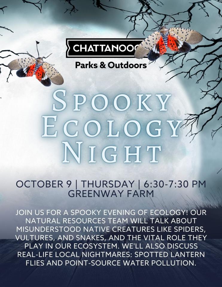 Spooky Ecology Night