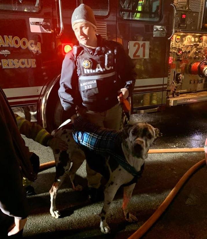 Woman & Great Dane rescued from house fire
