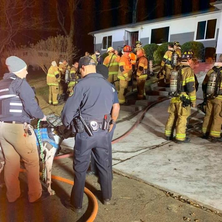 Woman & Great Dane rescued from house fire