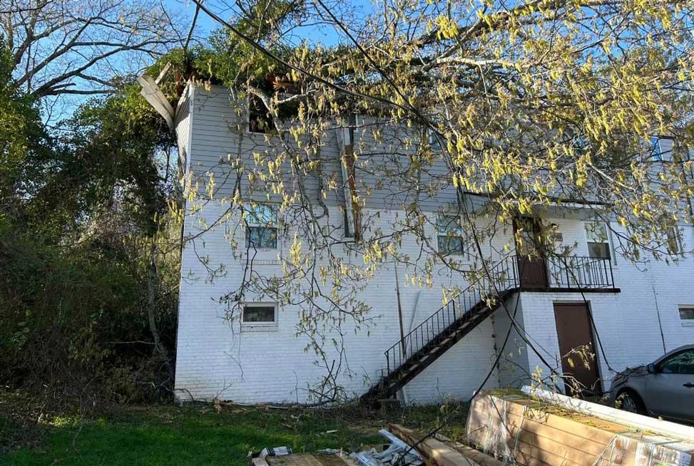 Árbol caído en apartamentos en Pinewood Ave