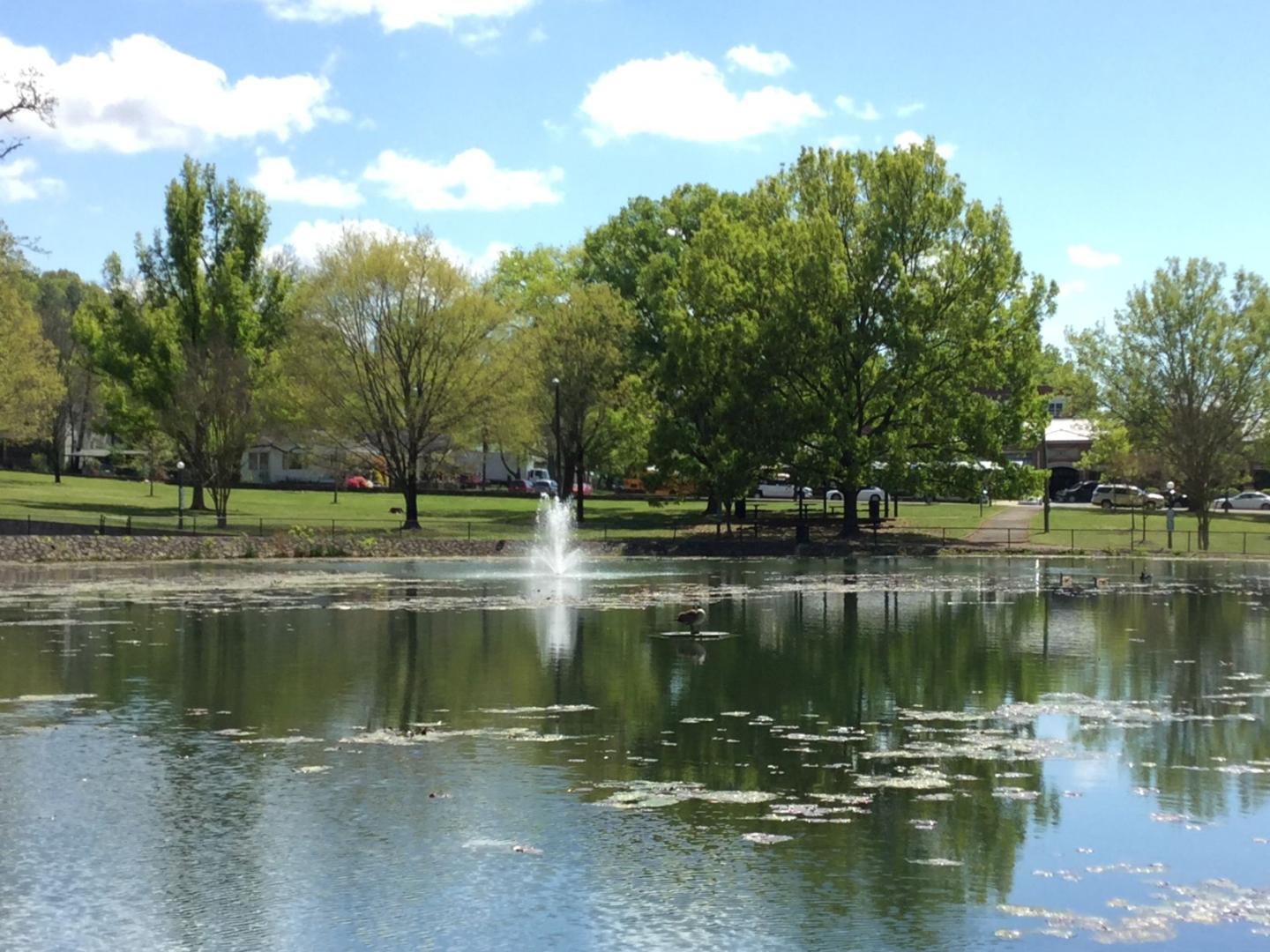 A park pond with a fountain in the center, surrounded by lush green trees and grass on a sunny day.
