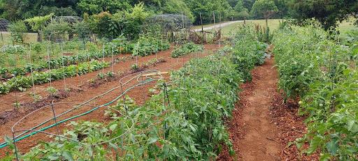 Greenway farm gardens