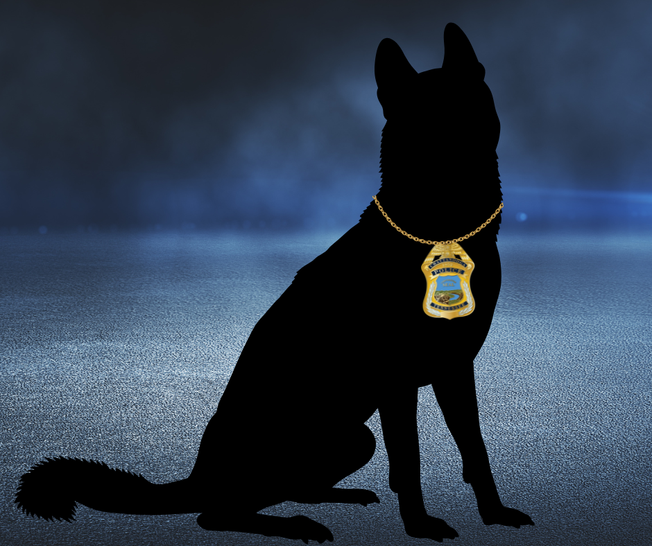 K9 Apache police dog Black dog against a blue background with a police badge around his neck