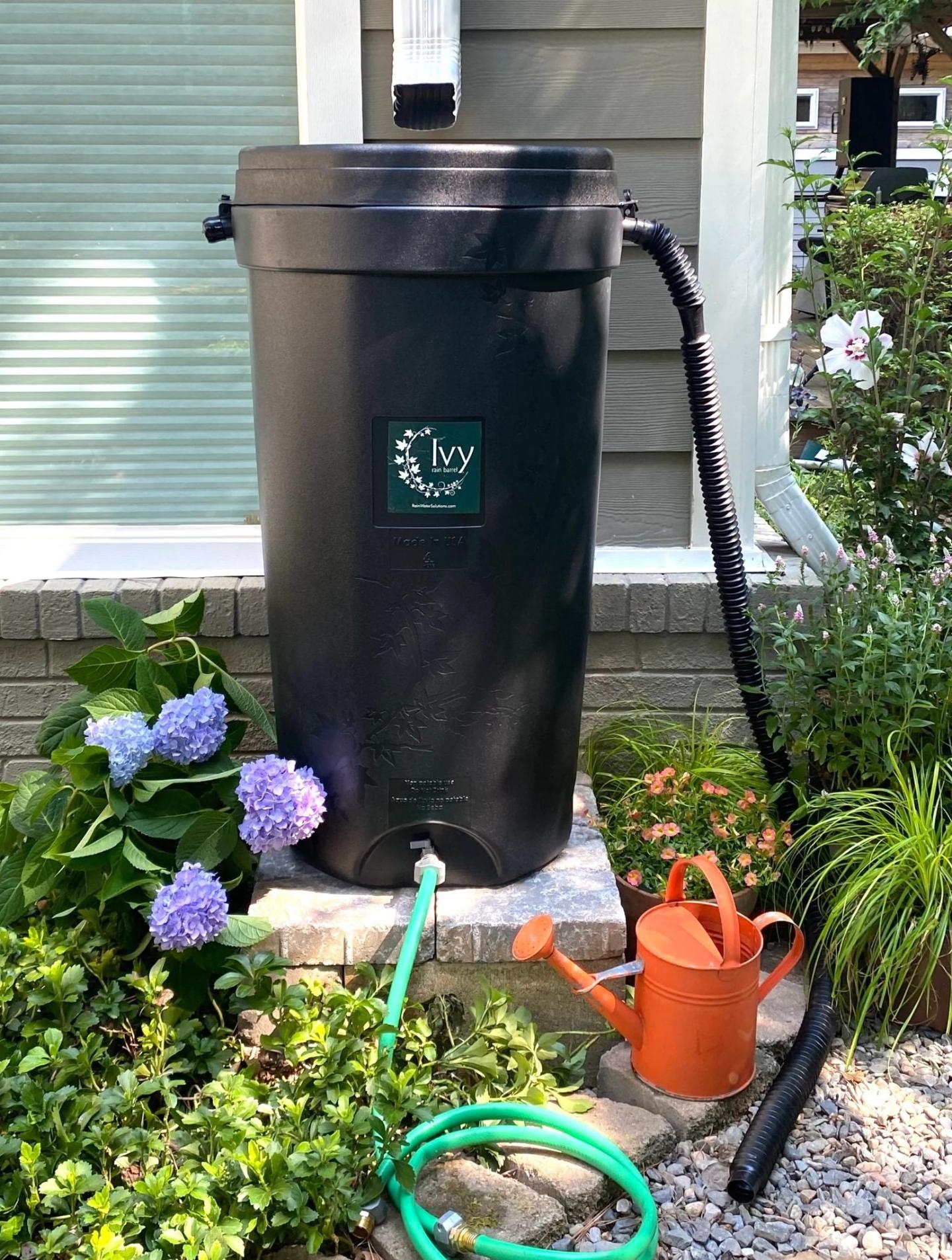 Rain barrel on concrete pad in garden