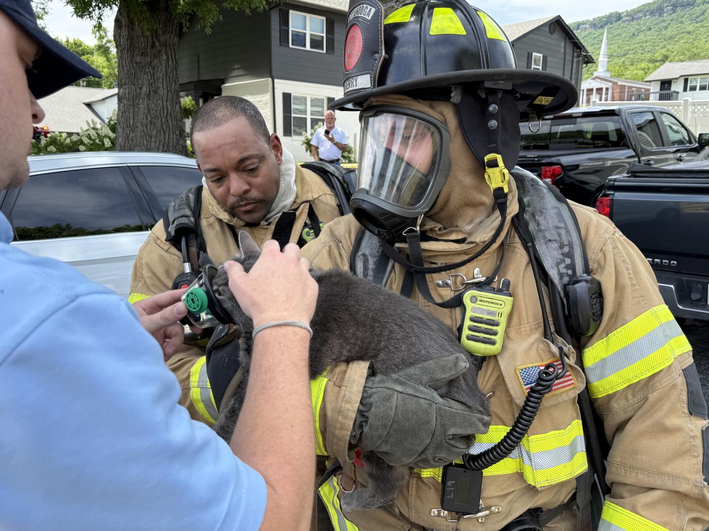 Bomberos administrando oxígeno a un gato